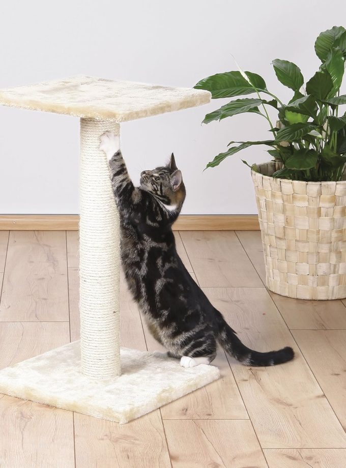 Scratching Post, Gray, Medium (16 x 16 x 27 in.), (43341)